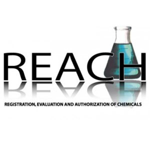 REACH-1